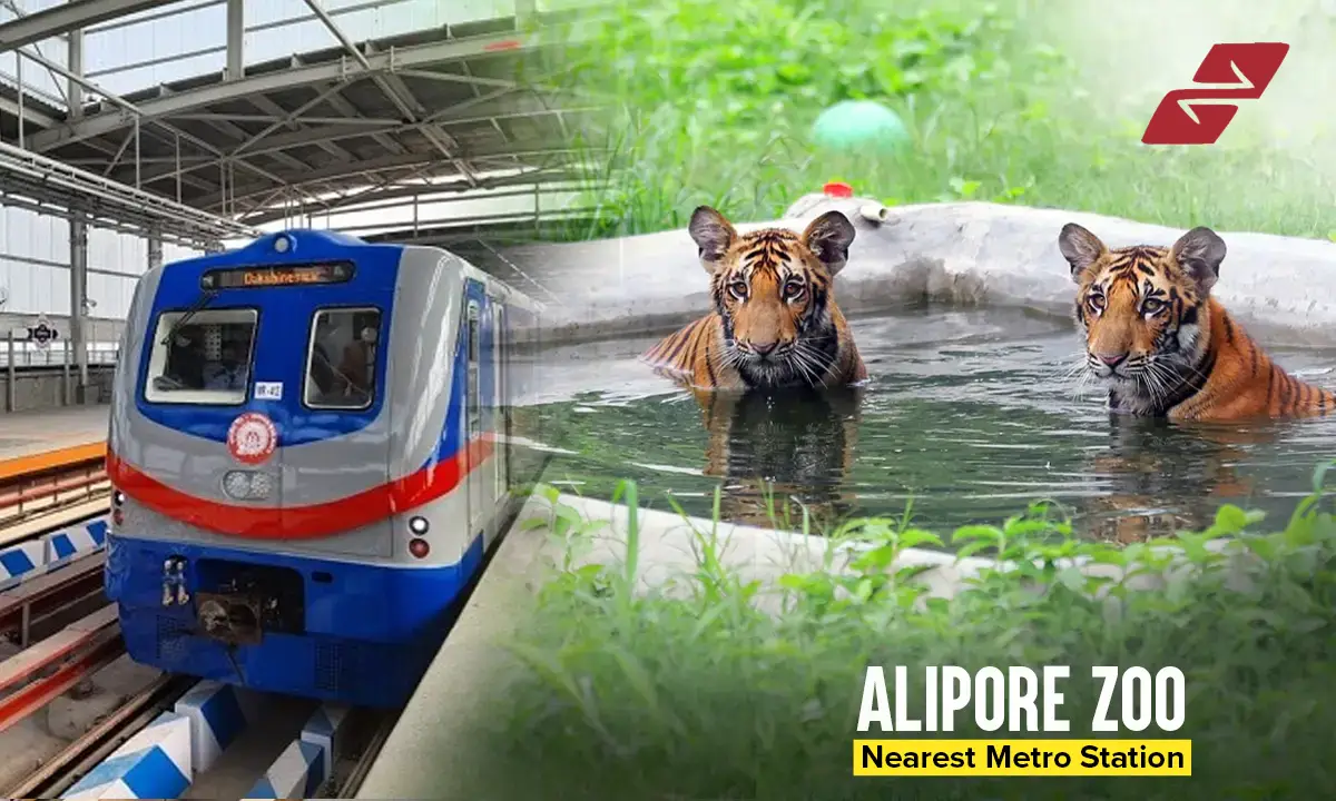 Alipore Zoo Nearest Metro Station